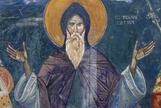 Dinastija Nemanjića