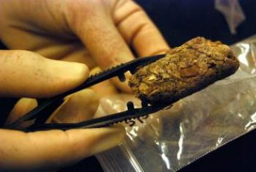 Nova metoda utvrđivanja starosti predmeta