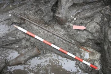 Pronađen najstariji neolitski luk u Evropi