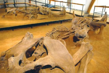 Srbija na stazi mamuta