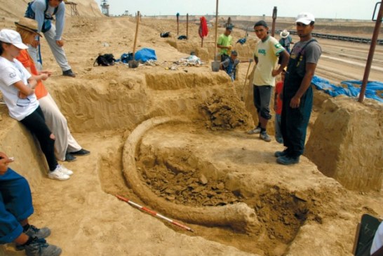 Kiša otkrila fosil džinovskog jelena