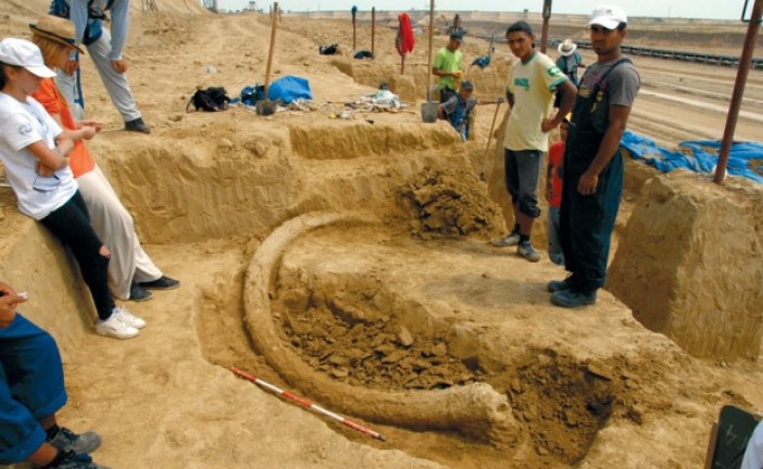 Kiša otkrila fosil džinovskog jelena