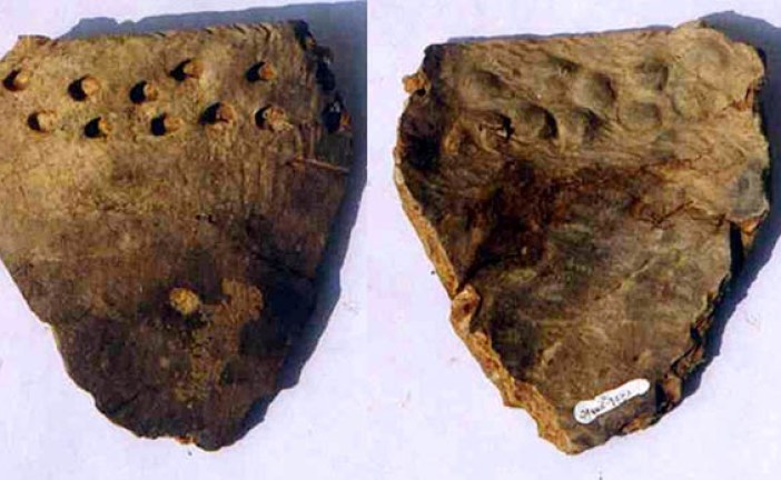 U jednoj pećini na jugu Kine pronađeni fragmenti grnčarije stari 20.000 godina