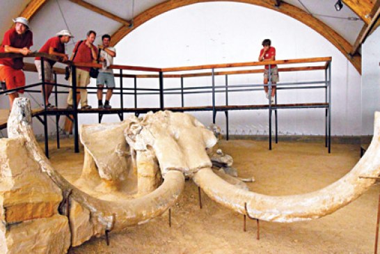 Arheološko čudo Srbije!