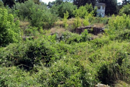 Konstantinova palata zarasla u korov