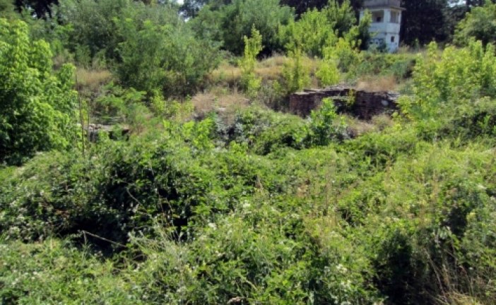 Konstantinova palata zarasla u korov