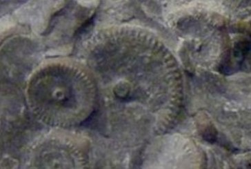 Šokantno otkriće: Pronađena mašina stara 400 miliona godina?