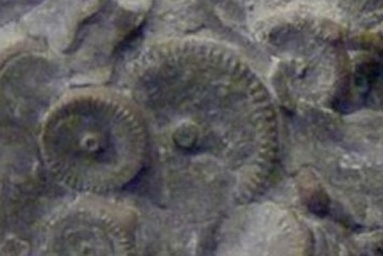 Šokantno otkriće: Pronađena mašina stara 400 miliona godina?