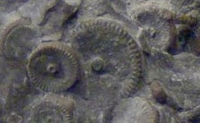 Šokantno otkriće: Pronađena mašina stara 400 miliona godina?