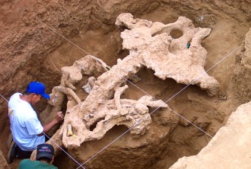 Pronađena urna iz 2. milenijuma pre nove ere