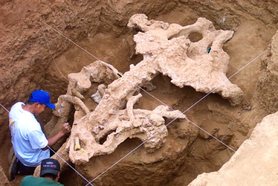 Pronađena urna iz 2. milenijuma pre nove ere