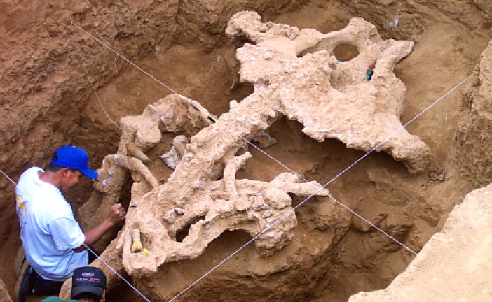 Pronađena urna iz 2. milenijuma pre nove ere