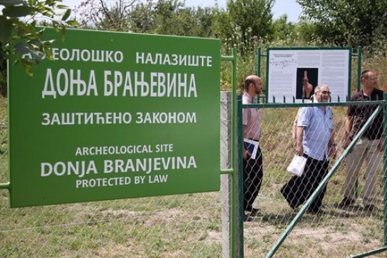 Donja Branjevina