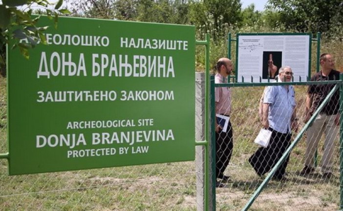 Donja Branjevina