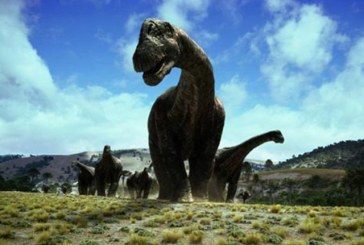 USKORO OTVARANJE: Dino-park u Svilajncu