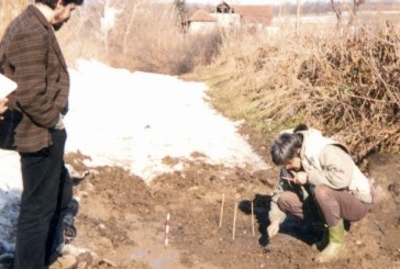 Figure stare 8.000 godina