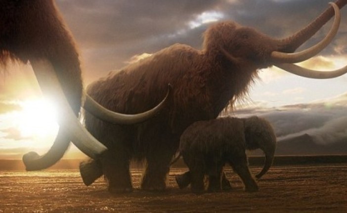 Руси на корак до клонирања мамута