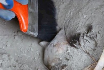 Otkrivena grobnica antičke civilizacije Vari