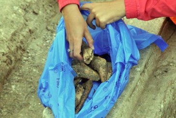 Pronađena humka stara 4.000 god.