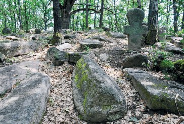 Zaboravljeno groblje Nemanjića