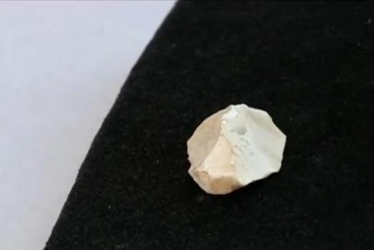 Pronađeno kremeno sečivo staro 1,4 miliona godina