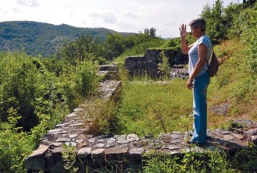 Kolevka Srbije zarasla u korov