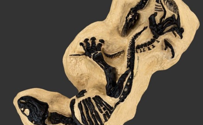 „Dinosaurusi u dvoboju“ na aukciji