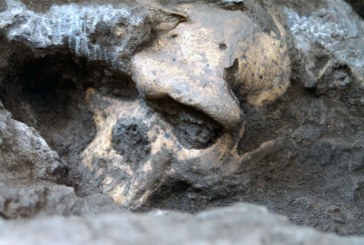 Lobanja stara 1,8 miliona godina menja celu ljudsku istoriju?