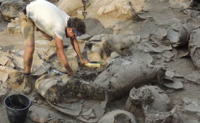Arheolozi u Izraelu pronašli vinski podrum star 3.700 godina
