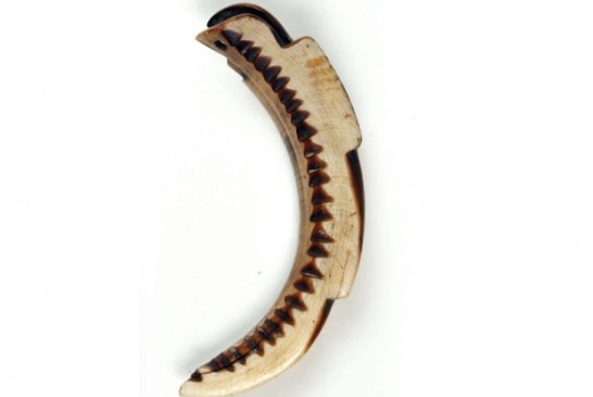 Senzacionalno: Pronađen kalendar star 8.000 godina