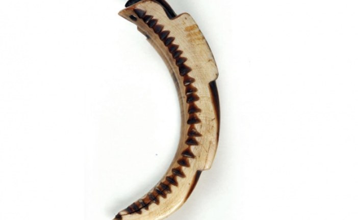 Senzacionalno: Pronađen kalendar star 8.000 godina