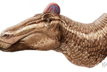 Otkrivena kožna ćuba kod dinosaurusa