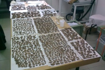 Narodni muzej Čačak: Konzervacija oklopa iz 6.veka