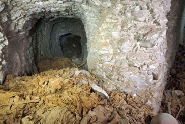 U Egiptu otkrivena još jedna drevna faraonska grobnica