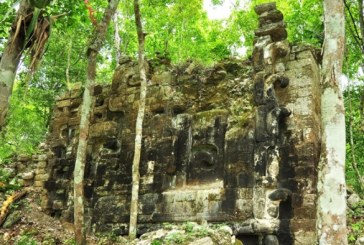 Drevni grad Maja pronađen u džungli