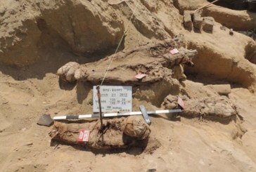 U Egiptu otkrivena grobnica sa više od milion mumija