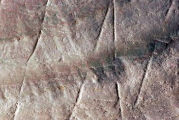 NEVEROVATNO OTKRIĆE: Ovo je neko urezao 300.000 godina pre nego što su se na Zemlji pojavili ljudi! (FOTO)