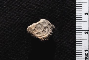 Pronađeni pečati kraljeva Davida i Solomona