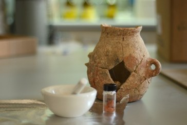 Maslinovo ulje se proizvodilo i pre 8000 godina