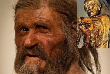 Otkrivene tetovaže na zamrznutoj alpskoj mumiji