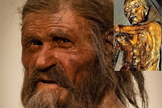 Otkrivene tetovaže na zamrznutoj alpskoj mumiji