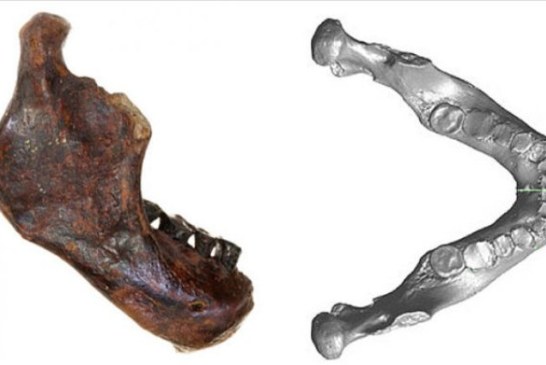 Ribari pronašli fosil nove vrste primitivnog čoveka