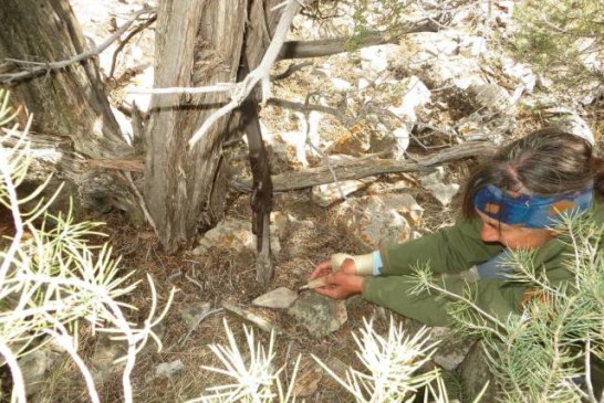 Puška bila naslonjena na grm duže od jednog veka
