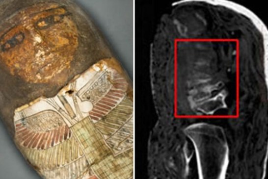 Naučnici tvrde da su dve mumije u Vatikanskom muzeju lažne