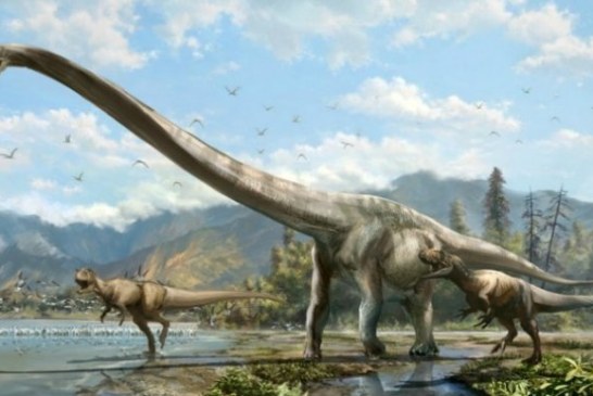 Pronađeni ostaci pravog džina: Ovo je najveće biće koje je ikada hodalo Zemljom