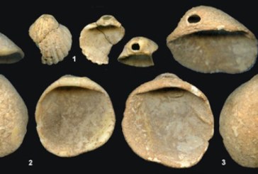 Kakav je nakit nosio doterani Neandertalac?