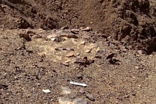 IZRAEL: Otkriveno oko stotinjak praistorijskih kultnih mesta