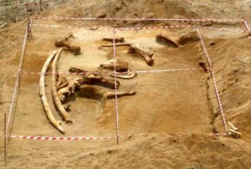 Blace Krilo Tajnu: Pronađen skelet mamuta star više od 10 miliona godina