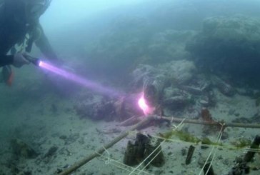 TAJNA IZ DUBINE Ovo otkriće moglo bi zauvek da promeni evropsku istoriju