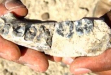 Ova vilica je pripadala prvom čoveku koji je hodao Zemljom